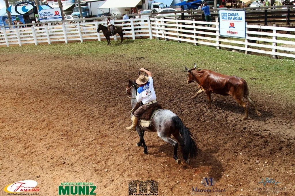 Prova de laço a cavalo no rodeio da Fazenda Silva Neto